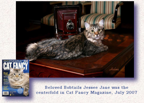 Cat Fancy centerfold Beloved Bobtails Jessee Jane