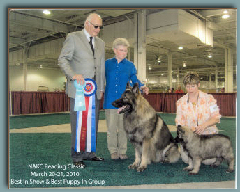Best In Show - Beloved Shiloh Sage and pup Rumor
