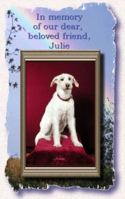 In memory of Julie