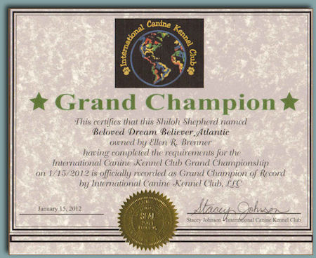 Teegan's Grand Champion Certificate